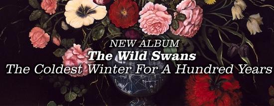 DIONE7DB012advert72dpi