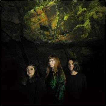 DATMCAVEWisteriaPressphoto2018Smallforweb